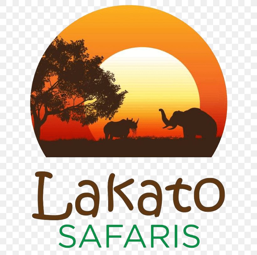 Logo Wildlife Safari Savanna Brand, PNG, 710x814px, Logo, Area, Brand, Orange, Safari Download Free