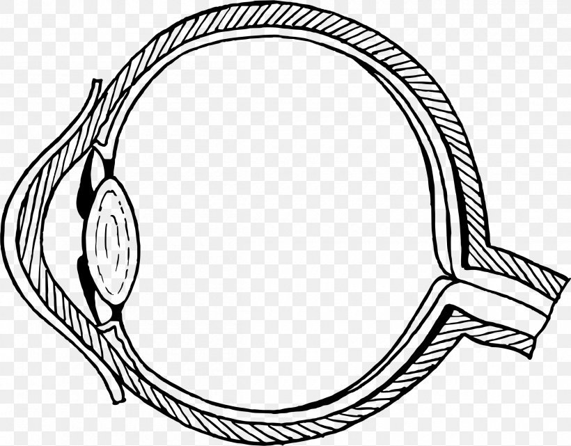 Wiring Diagram Human Eye Eye Pattern, PNG, 2400x1877px, Watercolor, Cartoon, Flower, Frame, Heart Download Free