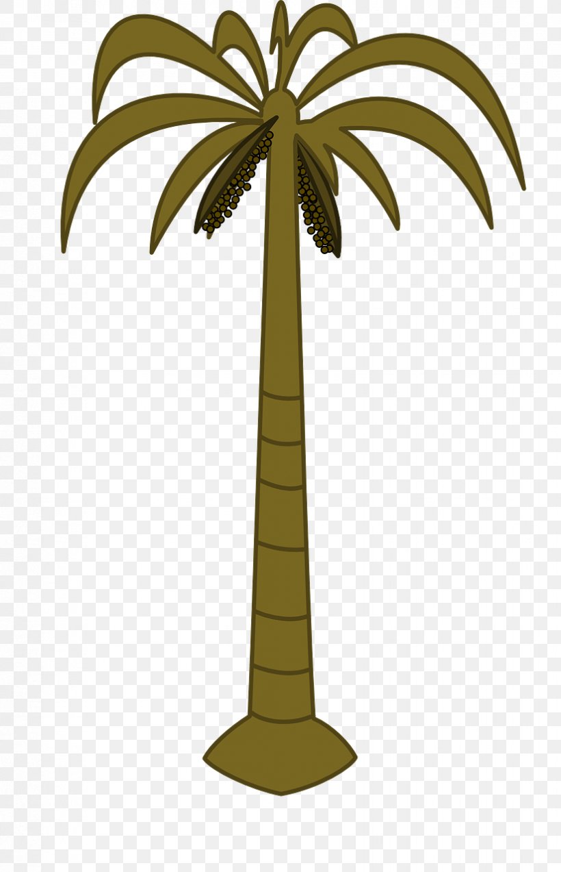 Arecaceae Coconut Date Palm Tree Clip Art, PNG, 824x1280px, Arecaceae, Arecales, Asian Palmyra Palm, Coconut, Date Palm Download Free