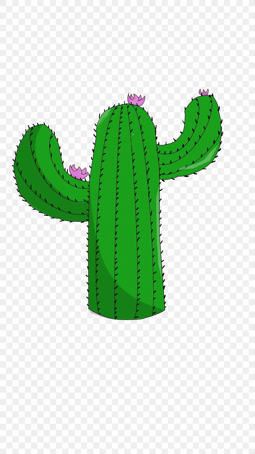 Cactus Clip Art Saguaro Echinocereus, PNG, 2322x4128px, Cactus, Anzaborrego Desert State Park, Caryophyllales, Desert, Echinocereus Download Free