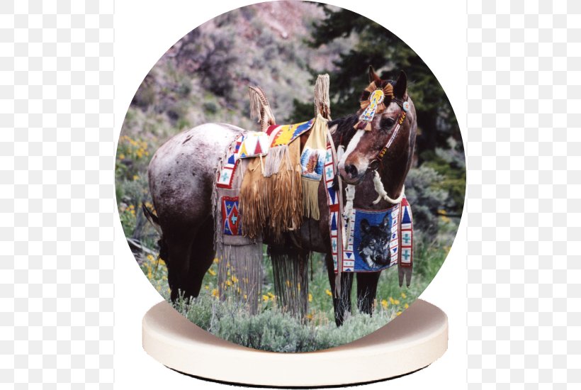 Horse Halter Pack Animal, PNG, 496x550px, Horse, Halter, Horse Like Mammal, Horse Tack, Pack Animal Download Free