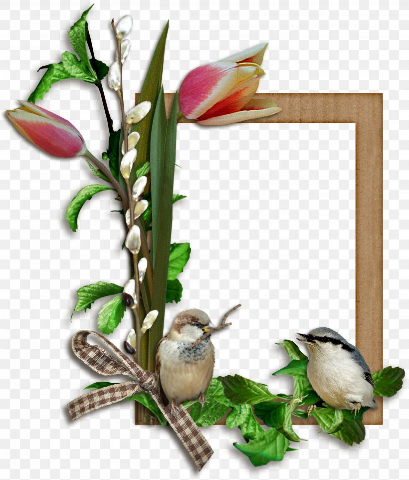 Picture Frames Clip Art, PNG, 2785x3268px, Picture Frames, Bird, Branch, Cdr, Cut Flowers Download Free
