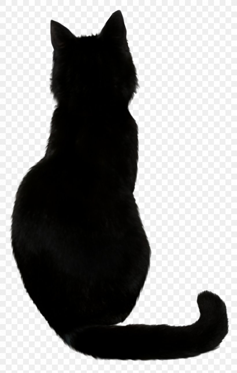 Savannah Cat Black Cat Cat Food Kitten, PNG, 827x1301px, Savannah Cat, Black, Black And White, Black Cat, Bombay Download Free