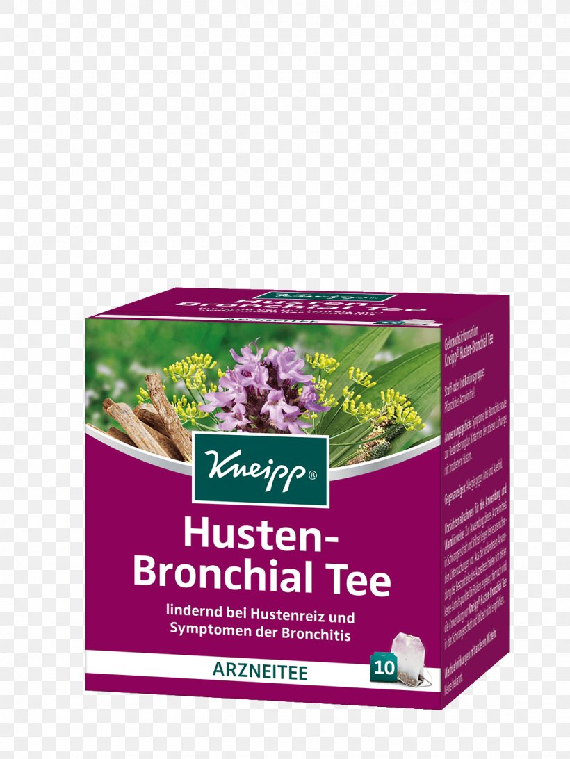 Tea Cough Kneipp-Medizin Bronchus Bronchitis, PNG, 1126x1500px, Tea, Bile, Bronchitis, Bronchus, Cough Download Free