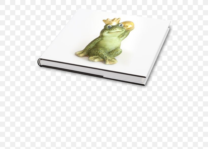 Tree Frog Rectangle, PNG, 555x588px, Tree Frog, Amphibian, Fauna, Frog, Rectangle Download Free