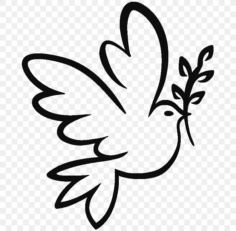 Colombe Drawing Doves As Symbols Coloring Book, PNG, 800x800px, Colombe, Adult, Beak, Black And White, Branch Download Free