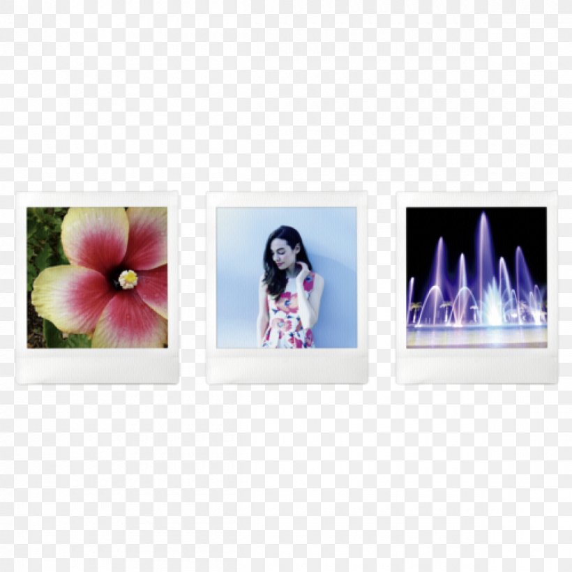 Digital Instant Camera Fujifilm Square SQ10 W White Photographic Film Instax, PNG, 1200x1200px, Photographic Film, Camera, Digital Cameras, Digital Photography, Flower Download Free