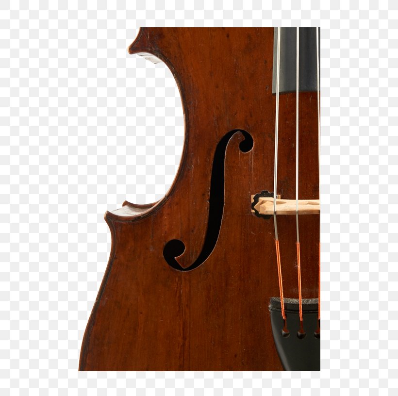 Bass Violin Double Bass Violone Viola Bass Guitar, PNG, 500x816px, Watercolor, Cartoon, Flower, Frame, Heart Download Free