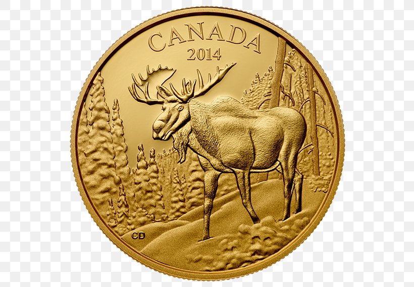 Coin Moose Deer United States Dollar Archetype, PNG, 570x570px, Coin, Antler, Archetype, Currency, Deer Download Free