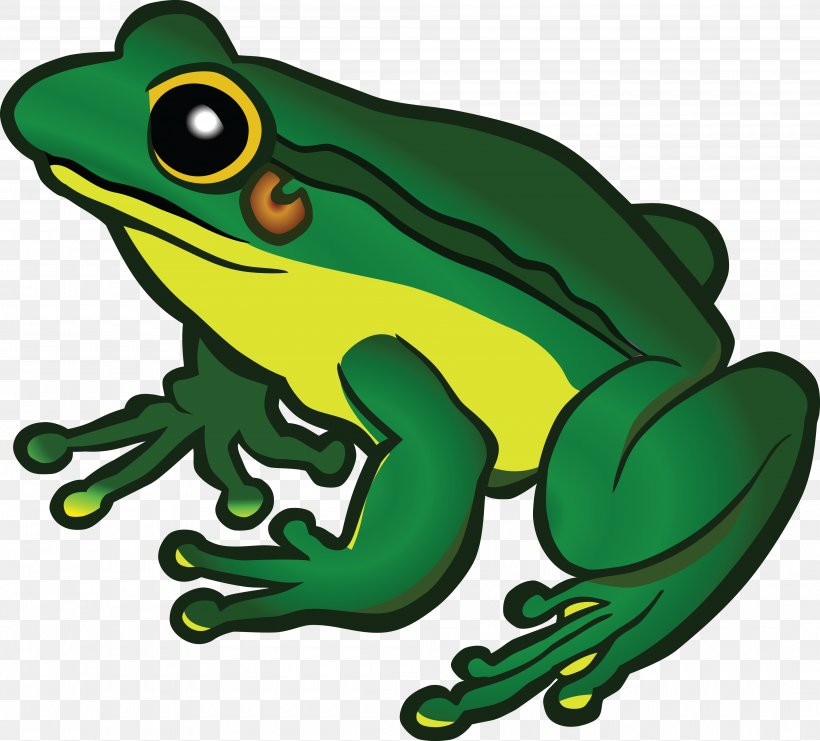 Frog Clip Art, PNG, 4000x3618px, Frog, American Green Tree Frog, Amphibian, Artwork, Australian Green Tree Frog Download Free