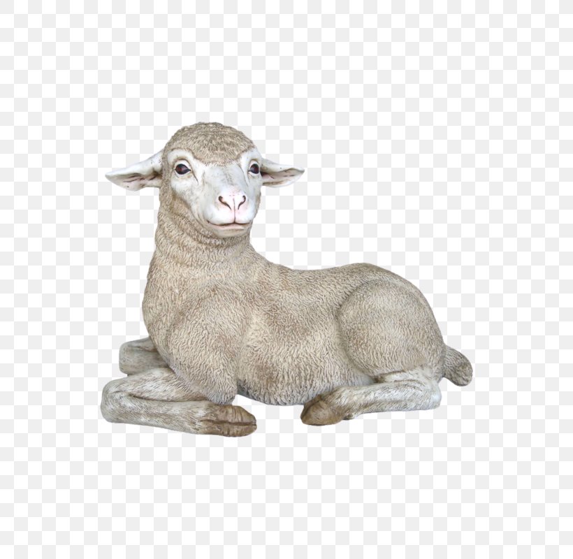 Merino Texel Sheep Rove Goat, PNG, 800x800px, Merino, Animal, Animal Figure, Cow Goat Family, Drawing Download Free