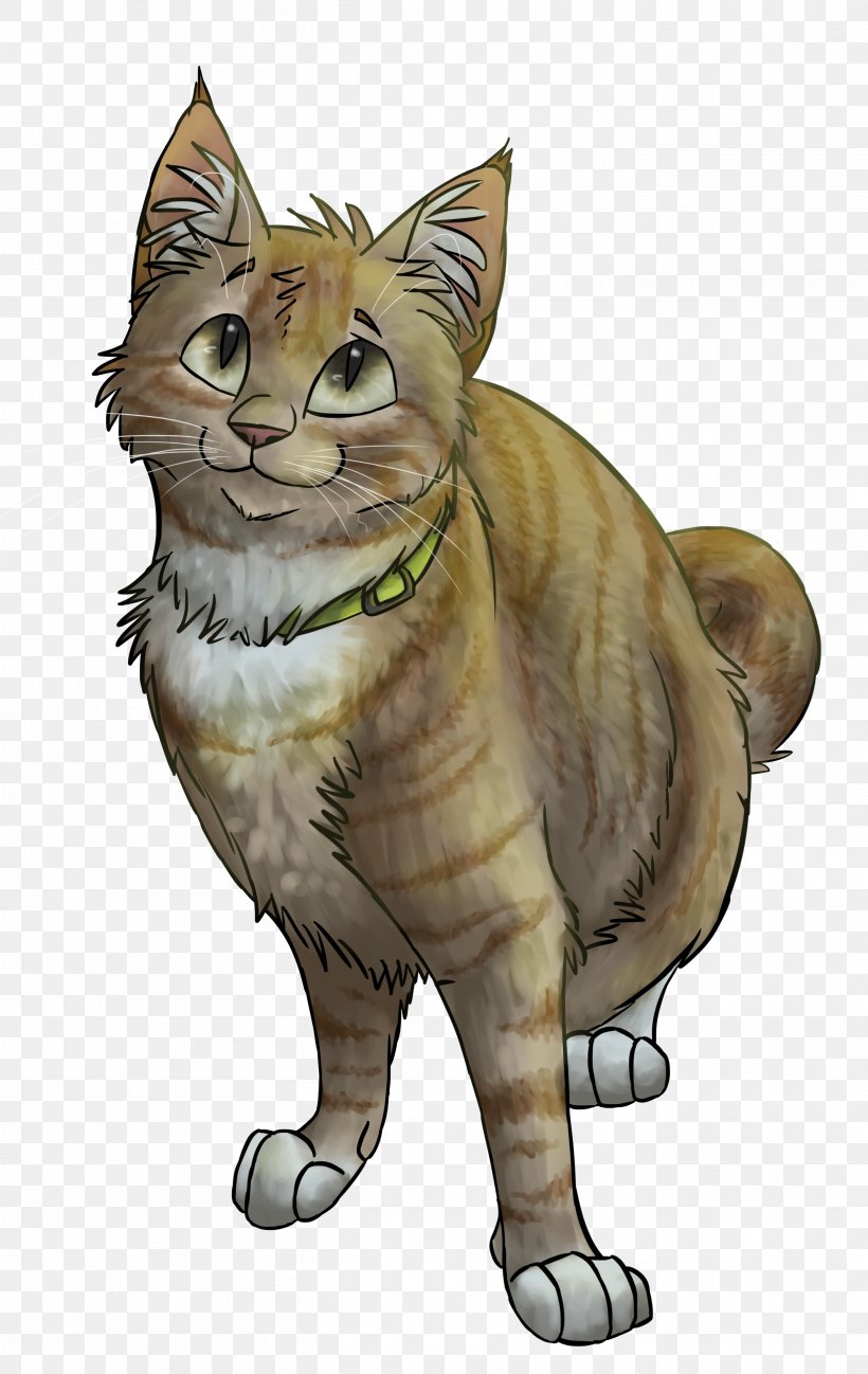 Tabby Cat Wildcat Kitten Drawing, PNG, 2813x4455px, Cat, Big Cats, Carnivoran, Cat Like Mammal, Domestic Short Haired Cat Download Free