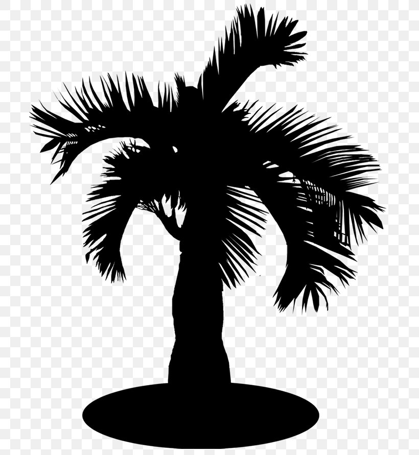 Asian Palmyra Palm Date Palm Palm Trees Silhouette Borassus, PNG, 743x891px, Asian Palmyra Palm, Arecales, Blackandwhite, Borassus, Borassus Flabellifer Download Free