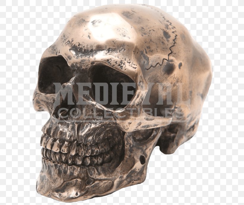Human Skull Symbolism Human Skeleton Bronze Resin Casting, PNG, 687x687px, Skull, Bone, Bronze, Copper, Eye Download Free
