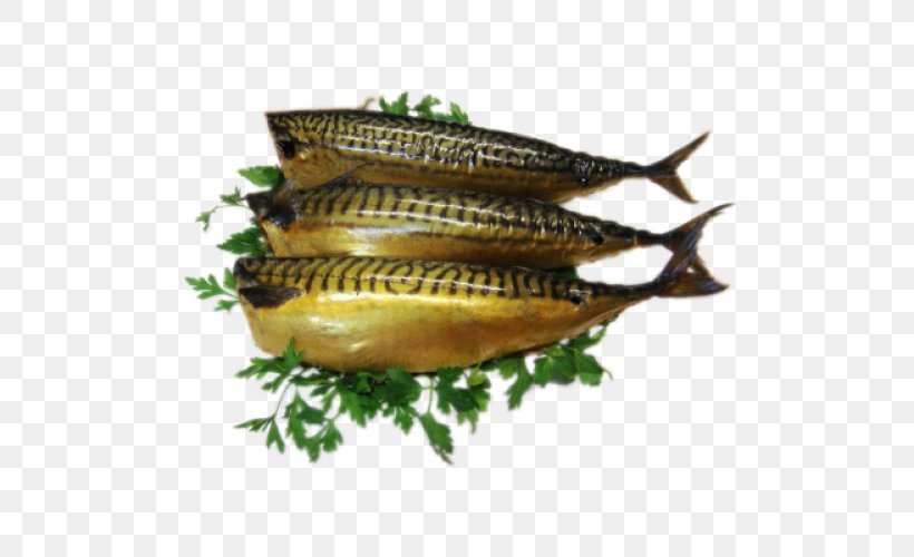 Kipper Atlantic Mackerel Oily Fish, PNG, 500x500px, Kipper, Atlantic Mackerel, Capelin, Email, Fish Download Free