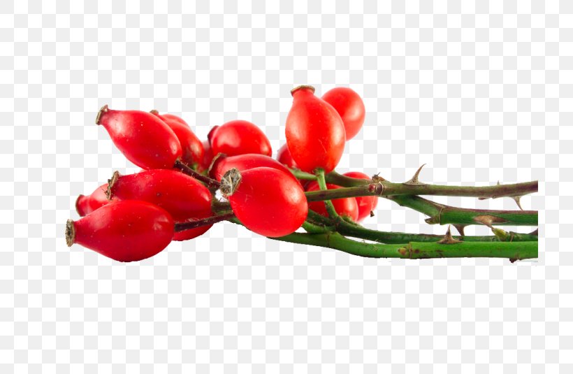 Rose Hip Seed Oil Argan Oil Carrier Oil, PNG, 720x535px, Rose Hip, Apricot Oil, Argan Oil, Bell Peppers And Chili Peppers, Berry Download Free