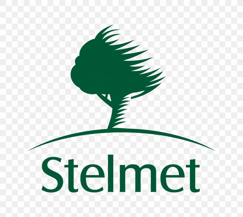 Stelmet S.A. Logo Legal Name Gorzowska City Of Zielona Gora, PNG, 1805x1614px, Logo, Artwork, Brand, Green, Labor Download Free