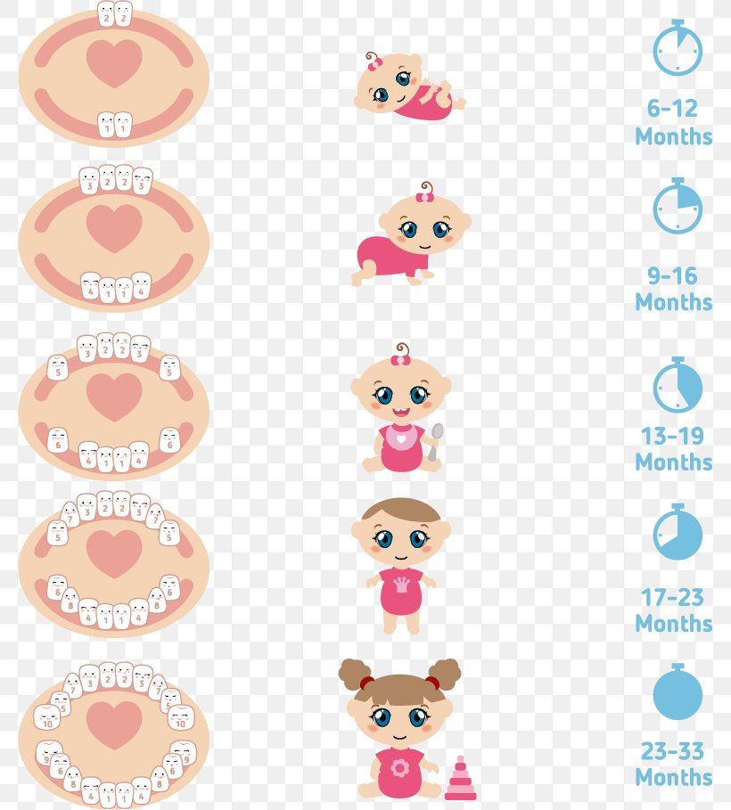 Teething Deciduous Teeth Infant Human Tooth Illustration, PNG, 779x909px, Teething, Body Jewelry, Chart, Cheek, Child Download Free