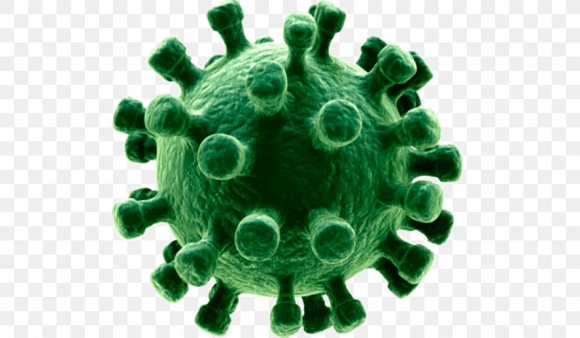 Virus Influenza Disease Upper Respiratory Tract Infection Epidemic, PNG, 907x529px, Virus, Antibiotics, Cell, Common Cold, Disease Download Free