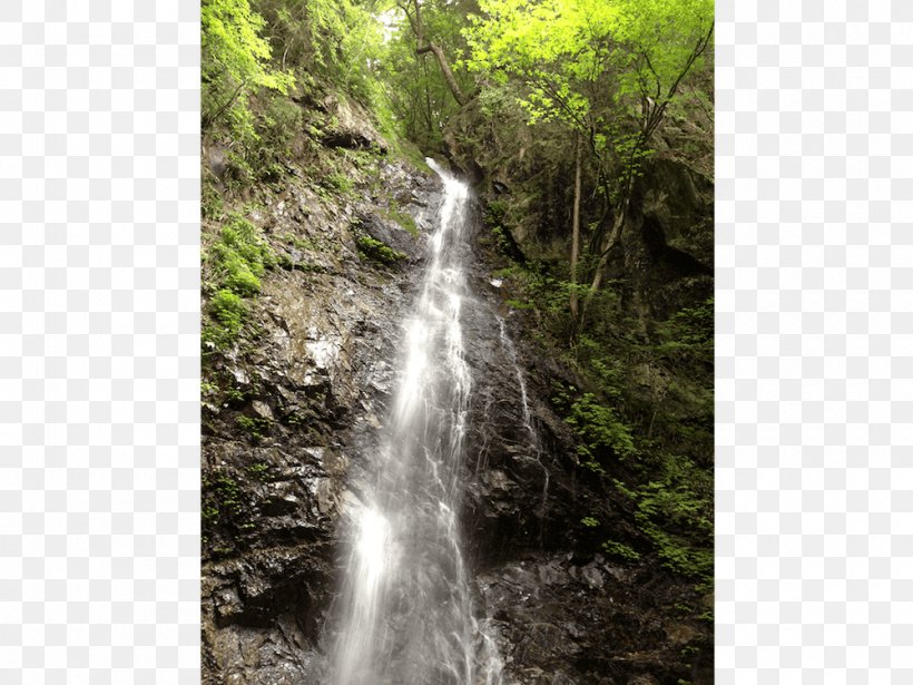 Waterfall Water Resources Nature Reserve Stream Watercourse, PNG, 1000x750px, Waterfall, Body Of Water, Chute, Creek, Forest Download Free