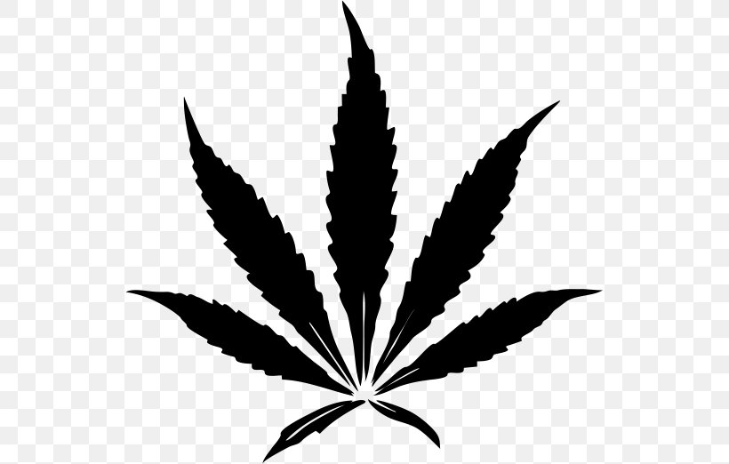 Cannabis Sativa Drawing Leaf Kush, PNG, 538x522px, Cannabis, Black And White, Cannabis Sativa, Cannabis Smoking, Drawing Download Free