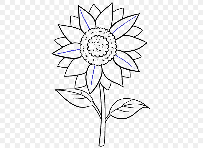 Drawing Common Sunflower Black And White Sketch, PNG, 678x600px, Drawing,  Artwork, Black And White, Cartoon, Common