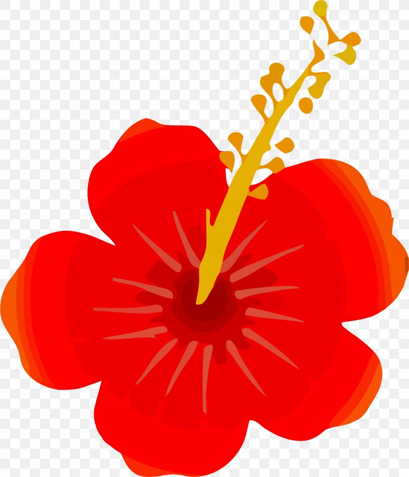 Flower Clip Art, PNG, 2032x2372px, Flower, Data, Flowering Plant, Herbaceous Plant, Hibiscus Download Free