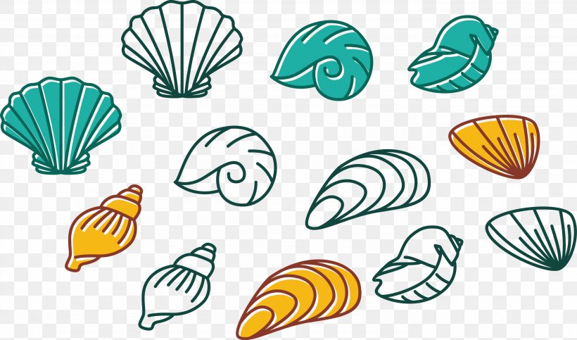 Seashell Euclidean Vector Conch Clip Art, PNG, 2765x1629px, Seashell, Conch, Invertebrate, Leaf, Organism Download Free