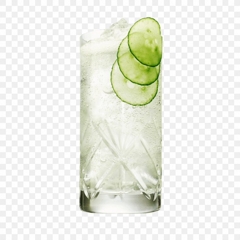 Gin And Tonic Tonic Water Cocktail Hendrick's Gin, PNG, 1024x1024px, Gin And Tonic, Alcoholic Beverages, Cocktail, Drink, Drinkware Download Free