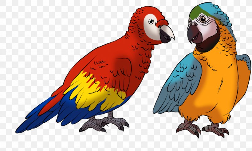 Macaw Parakeet Beak Feather Fauna, PNG, 1024x614px, Macaw, Beak, Bird, Common Pet Parakeet, Fauna Download Free