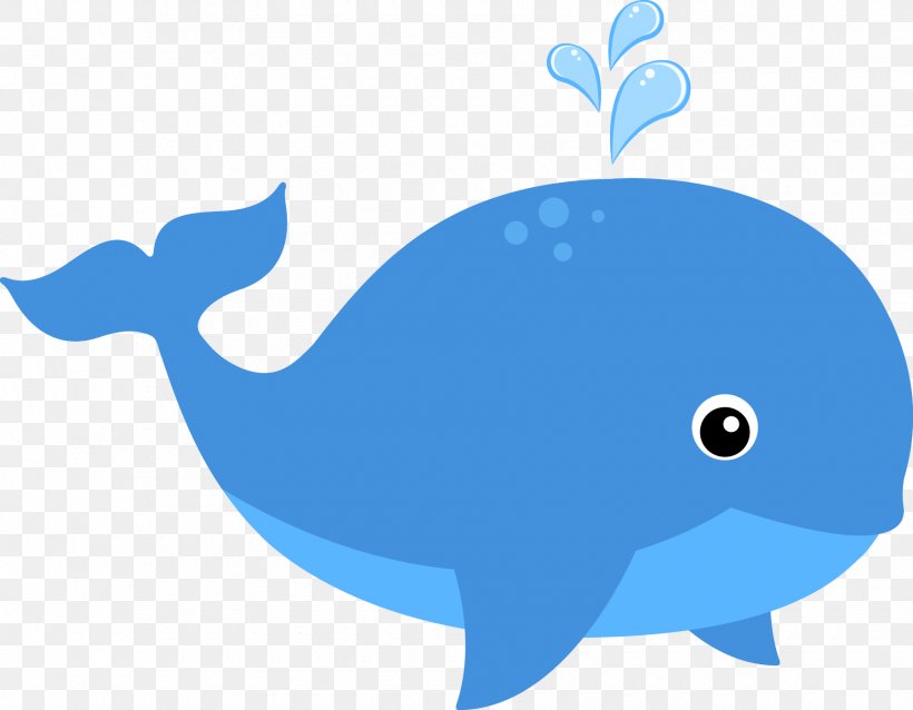Whale Cartoon, PNG, 1800x1401px, Dolphin, Beak, Biology, Blue Whale,  Cetacea Download Free