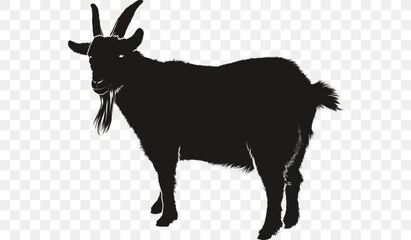 Boer Goat Black Bengal Goat Vector Graphics Clip Art Silhouette, PNG, 550x480px, Boer Goat, Black And White, Black Bengal Goat, Cattle Like Mammal, Cow Goat Family Download Free