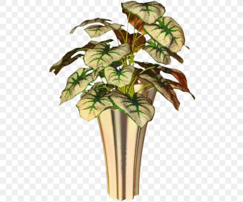 Flowerpot Leaf Houseplant Plant Stem Tree, PNG, 500x682px, Flowerpot, Alismatales, Anthurium, Arum Family, Botany Download Free