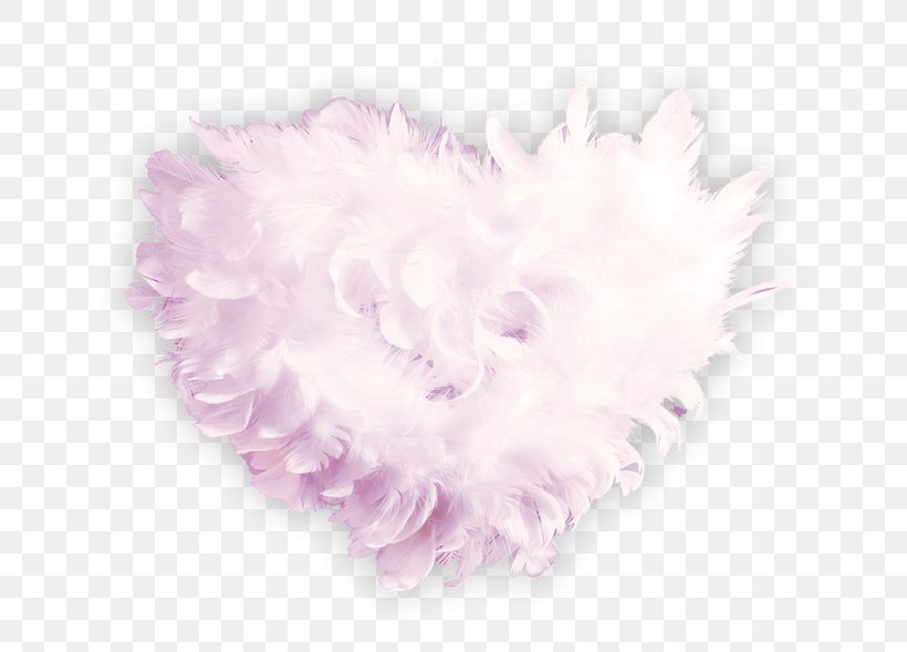 Fur Feather Petal Pink, PNG, 650x589px, Fur, Feather, Lilac, Petal, Pink Download Free