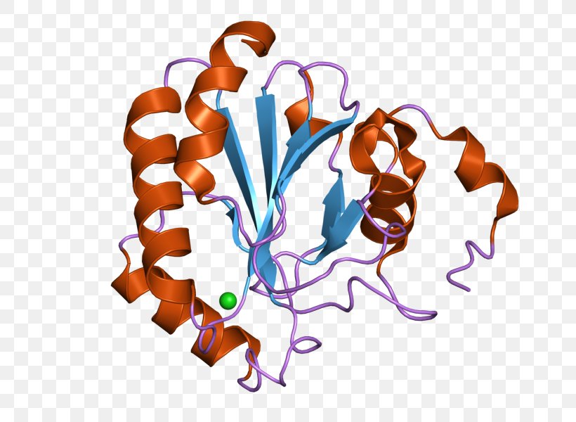 Glutathione Peroxidase Selenocysteine GPX4, PNG, 800x600px, Glutathione Peroxidase, Crystal, Crystal Structure, Cysteine, Enzyme Download Free