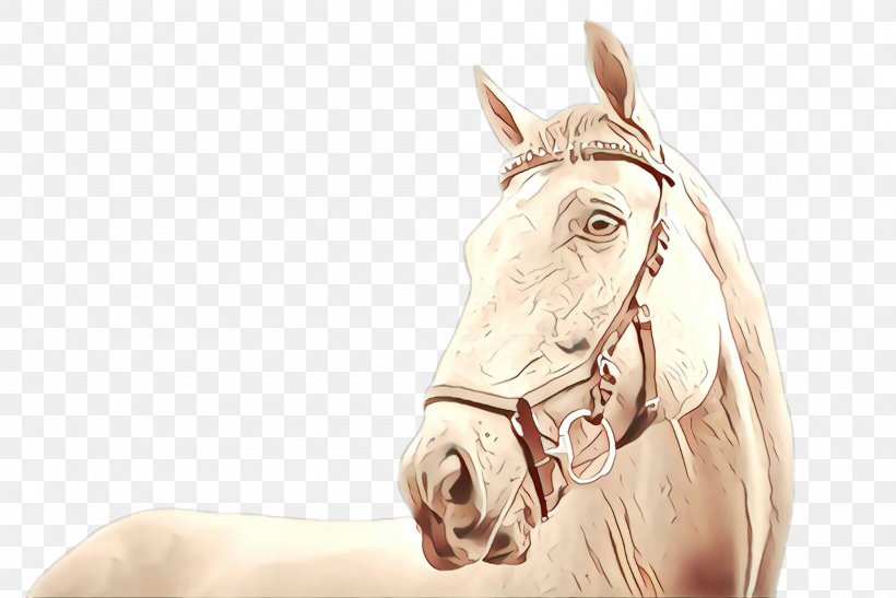 Horse Bridle Head Drawing Mane, PNG, 2000x1336px, Horse, Bridle, Drawing, Head, Horse Tack Download Free