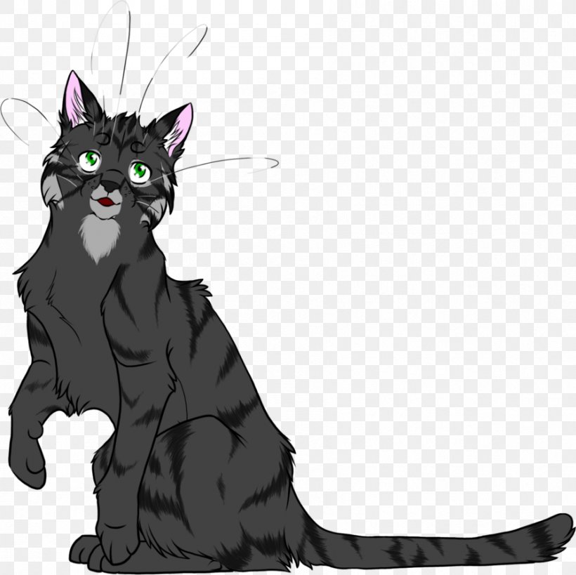 Kitten Whiskers Black Cat Warriors, PNG, 894x893px, Kitten, Barkface, Black Cat, Carnivoran, Cat Download Free