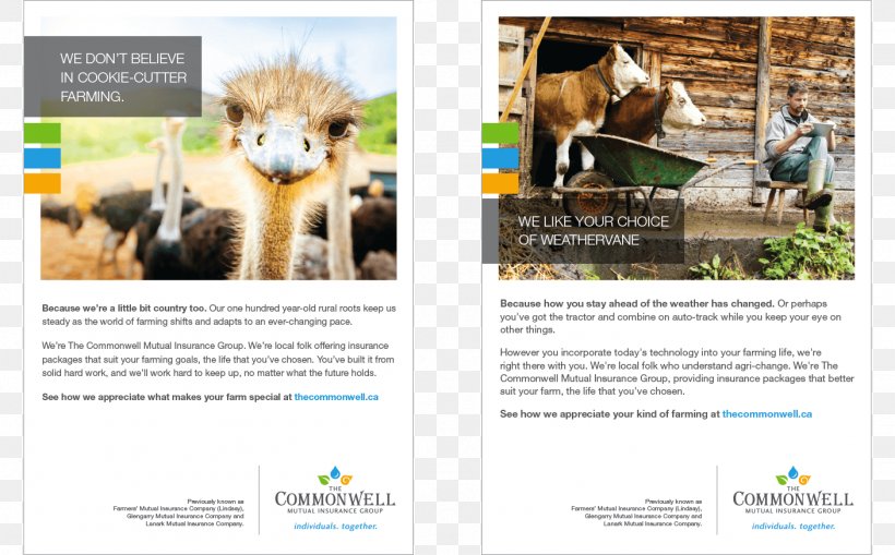 Mammal Advertising Fauna Brand, PNG, 1407x875px, Mammal, Advertising, Brand, Brochure, Fauna Download Free
