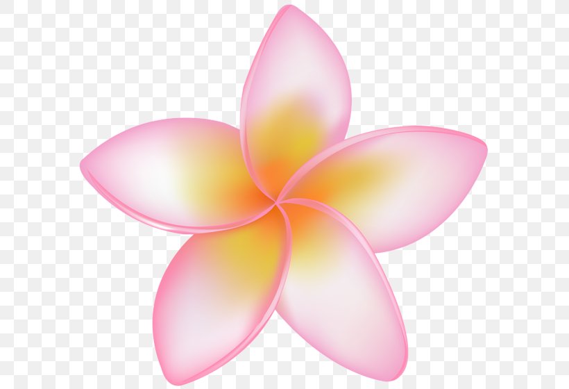 Image Vector Graphics Stock Illustration, PNG, 600x560px, Royaltyfree, Flower, Frangipani, Istock, Lotus Family Download Free