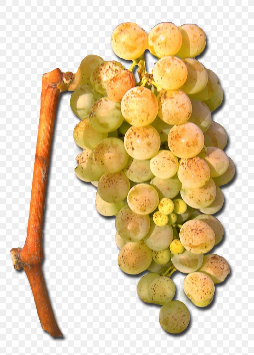 Sultana Seedless Fruit Grape Natural Foods Superfood, PNG, 1143x1600px, Sultana, Food, Fruit, Grape, Grapevine Family Download Free