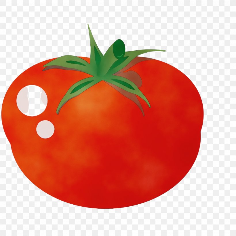 Tomato, PNG, 2000x2000px, Watercolor, Food, Fruit, Natural Foods, Orange Download Free