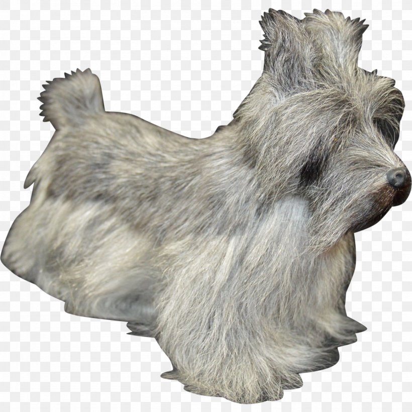 Glen Norwich Terrier Skye Terrier Cairn Terrier Scottish Terrier, PNG, 1561x1561px, Glen, Bread Pan, Breed Group Dog, Cairn Terrier, Carnivoran Download Free