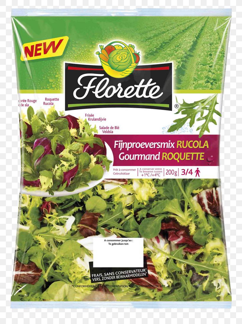 Spring Greens Vegetarian Cuisine Romaine Lettuce Herb, PNG, 804x1100px, Spring Greens, Food, Herb, Herbal, Herbalism Download Free