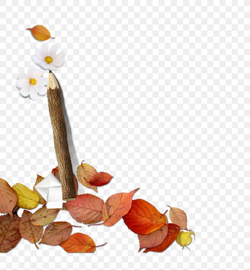 Leaf Autumn, PNG, 1111x1200px, Leaf, Autumn, Deciduous, Food, Gratis Download Free