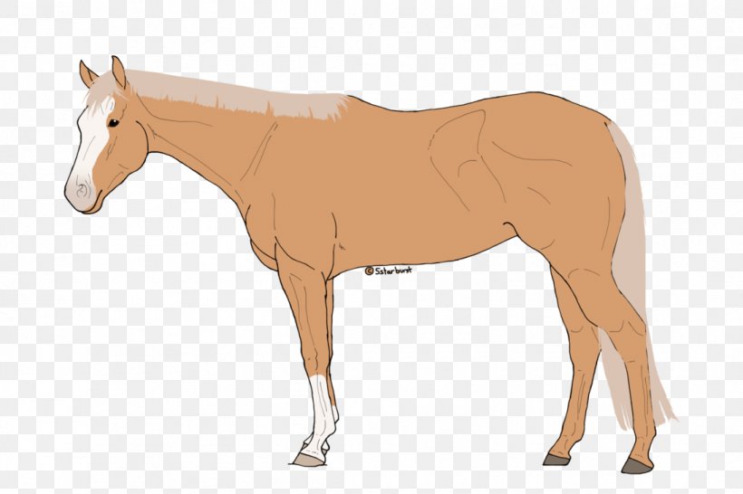 Mule Foal Stallion Colt Mare, PNG, 1095x730px, Mule, Animal Figure, Bridle, Colt, Foal Download Free