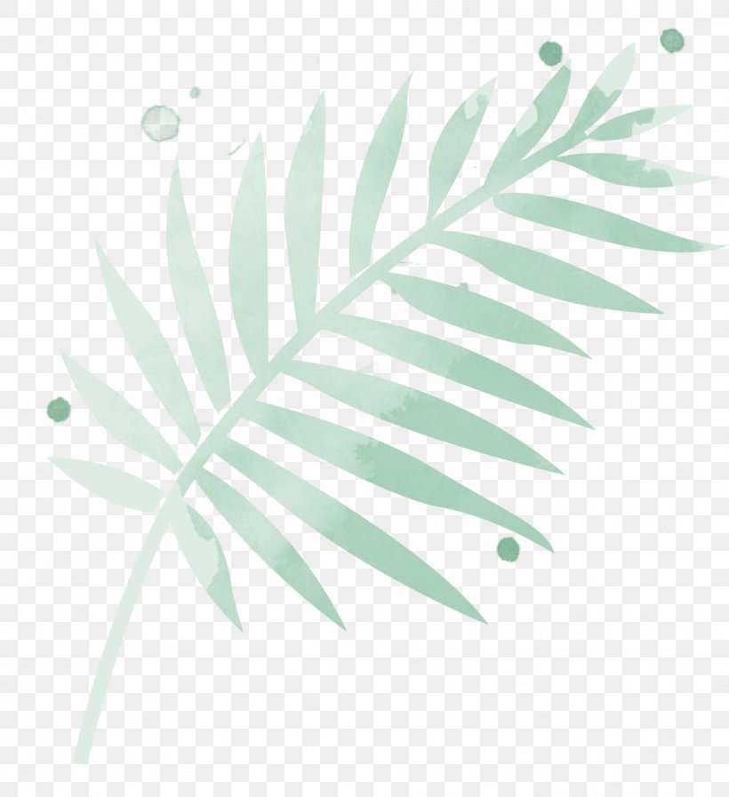 Arecaceae Leaf Plant Stem Line Branching, PNG, 1883x2061px, Arecaceae, Arecales, Branch, Branching, Green Download Free