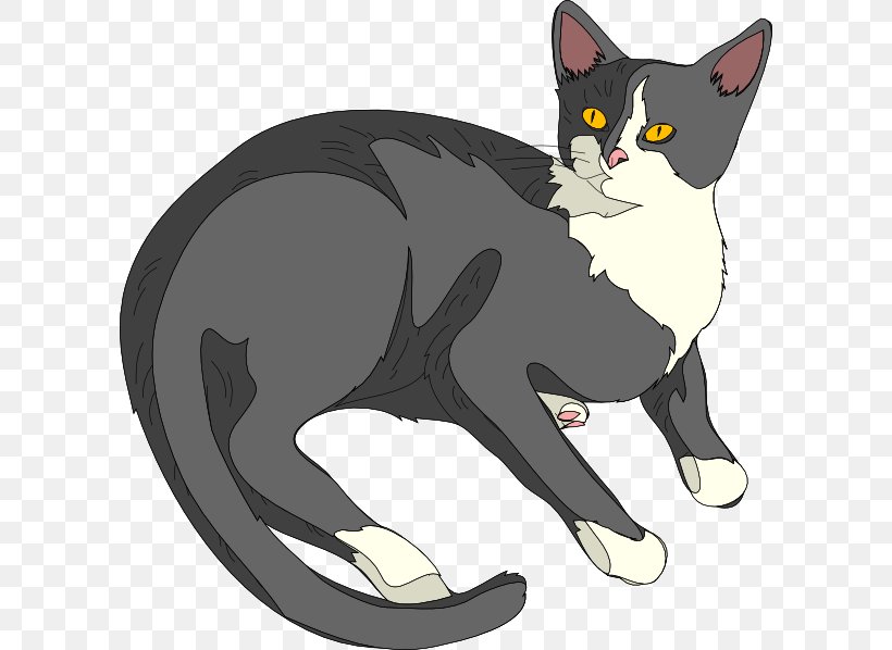 Cat Kitten Clip Art, PNG, 600x598px, Snowshoe Cat, Black, Black Cat, Blog, Carnivoran Download Free