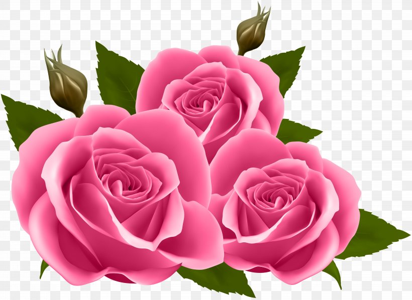 Rose Purple Flower Clip Art, PNG, 8000x5836px, Flower, Cut Flowers, Floral Design, Floribunda, Floristry Download Free