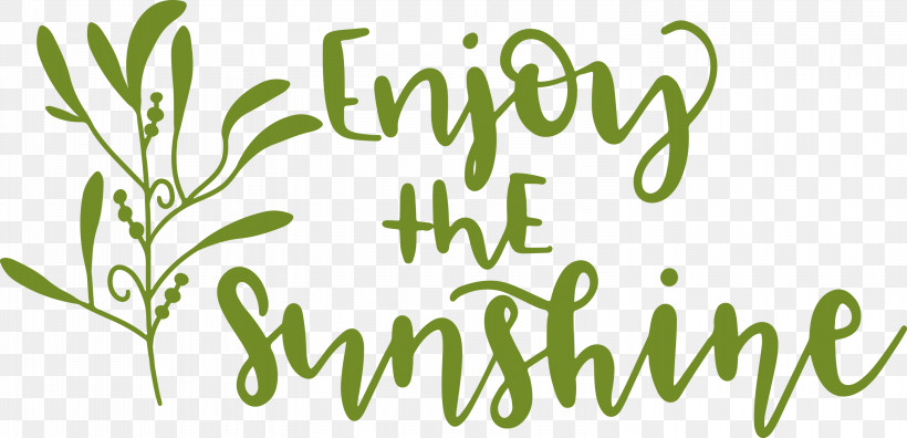 Sunshine Enjoy The Sunshine, PNG, 3000x1452px, Sunshine, Commodity, Grasses, Green, Herb Download Free