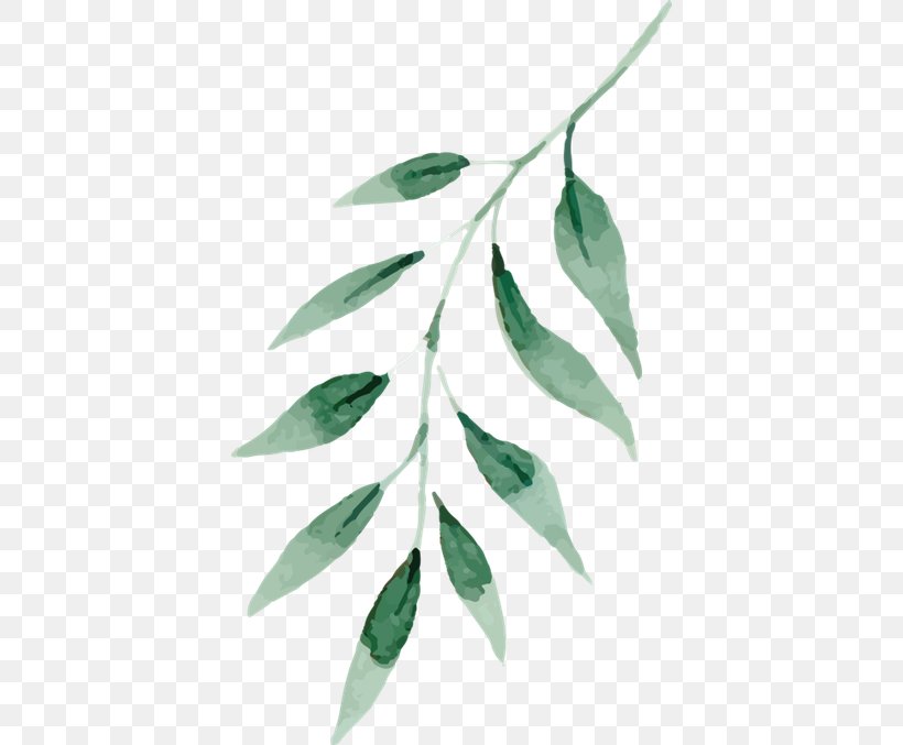 Watercolor Painting Drawing Green Leaf, PNG, 400x677px, Watercolor Painting, Art, Blue, Branch, Color Download Free